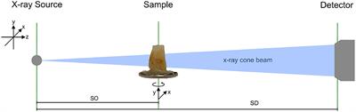 Material Decomposition in Low-Energy Micro-CT Using a Dual-Threshold Photon Counting X-Ray Detector